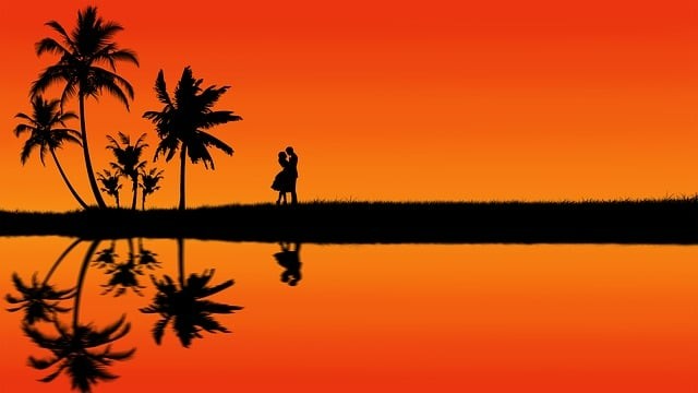 2025计算机单招四川