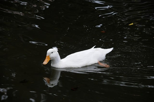 成都市新世纪文化职业技术学院2025年招生录取分数 成都市新世纪文化职业技术学院2025年招生录取分数