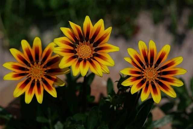 宜宾县科普职业技术学校招生的范围在哪里 宜宾县科普职业技术学校招生的范围在哪里