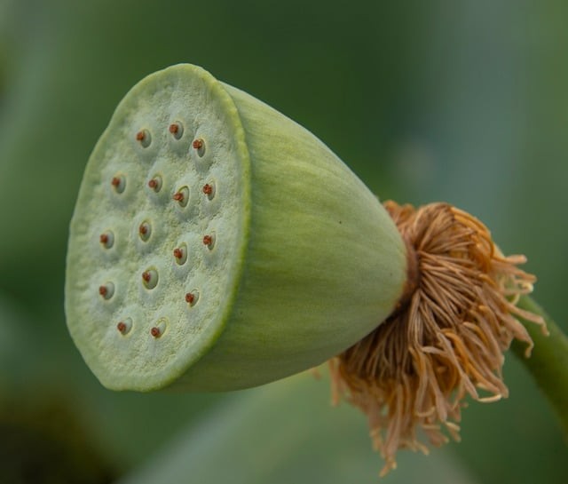 四川省邻水县兴仁职业中学2025年招生录取分数线