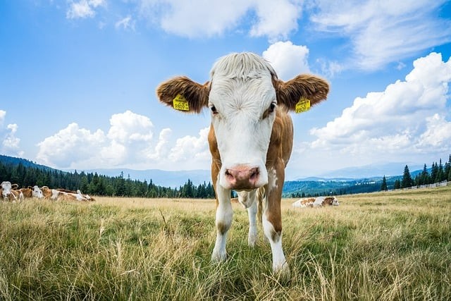 南充交通职业学校就业前景
