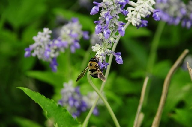 四川单招报考的大专