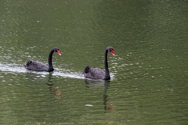 巴中市第三中学2024招生简介