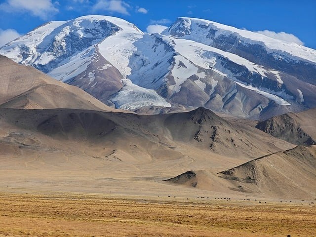 成都市石室中学2025年招生简介