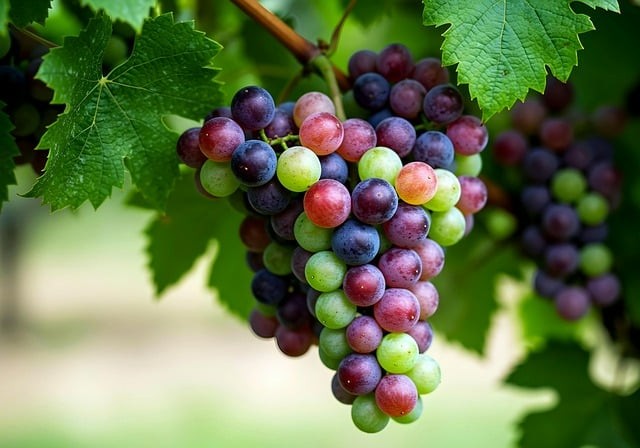 四川省渠县中学办学条件