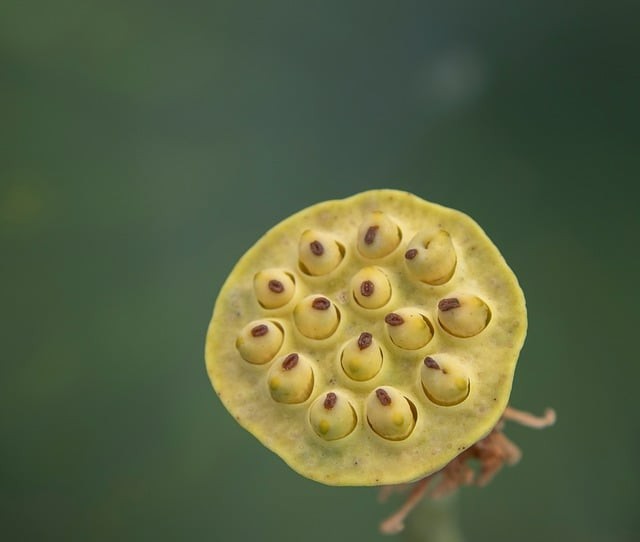 四川单招学校订单班 四川单招学校订单班