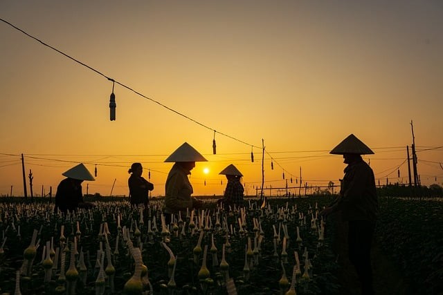 成都市机电工程学校2025年军训情况