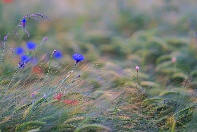 四川单招刷题推荐高职