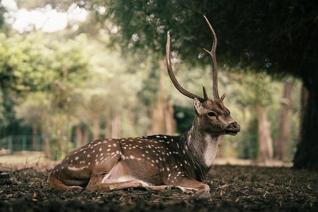 四川省金堂县职业高级中学简介