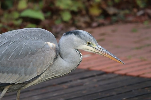 四川单招机械制图画图题
