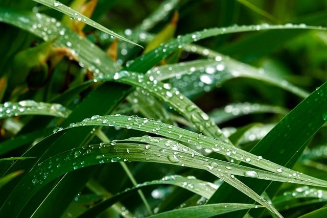 四川单招有语文专业吗