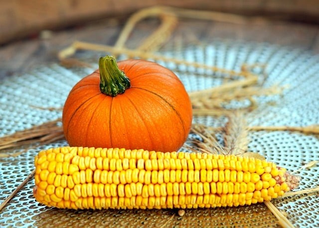 四川单招最新改革