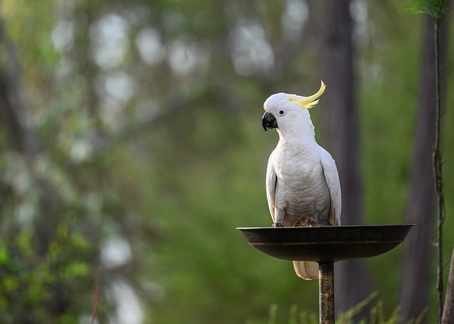 成都市铁路工程学校2025年招生计划是多少？学校性质