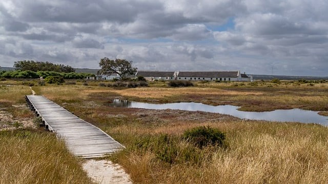 四川单招如何申请加分