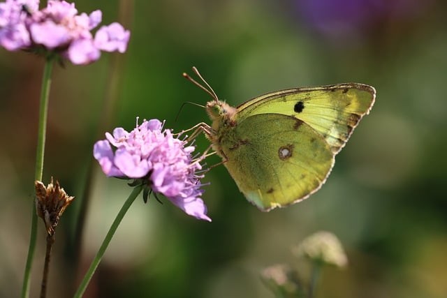 四川省康定中学2024招生简介