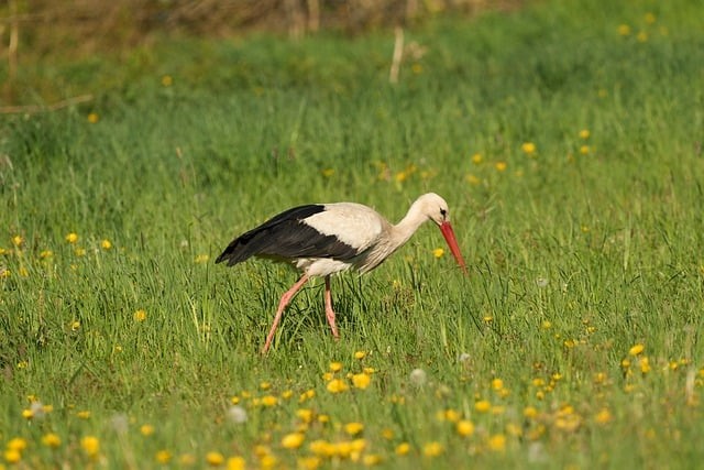 四川单招宜宾蒋老师