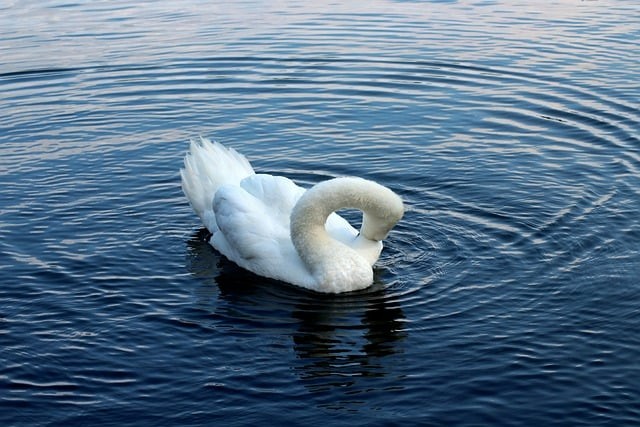 四川单招400分专业