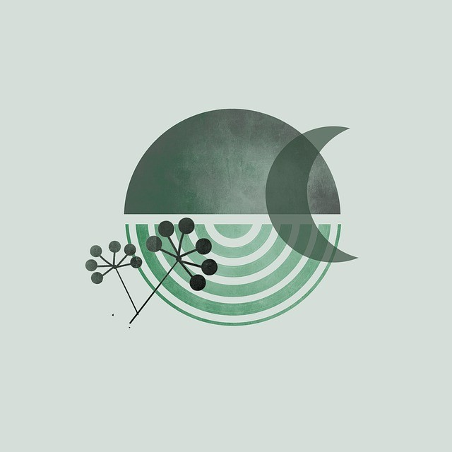 24年四川省单招省控线