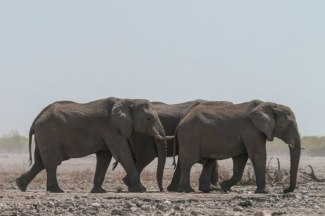 四川单招护理励志视频