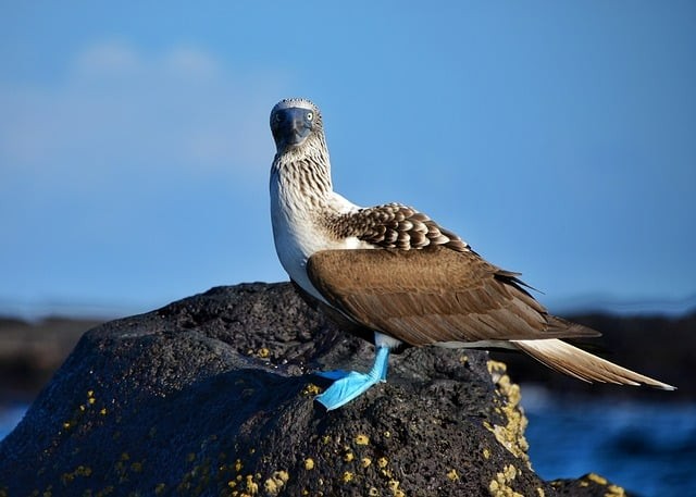 四川单招小课堂数学真题及答案