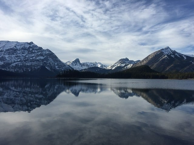 四川单招未录取政策