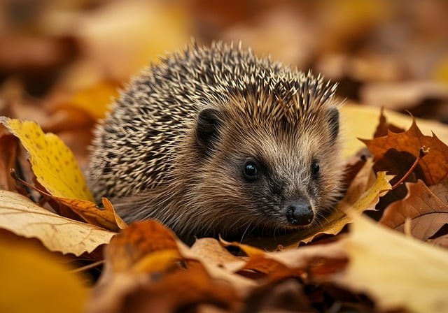 成都市温江区燎原职业技术学校管理是怎样的？就业渠道