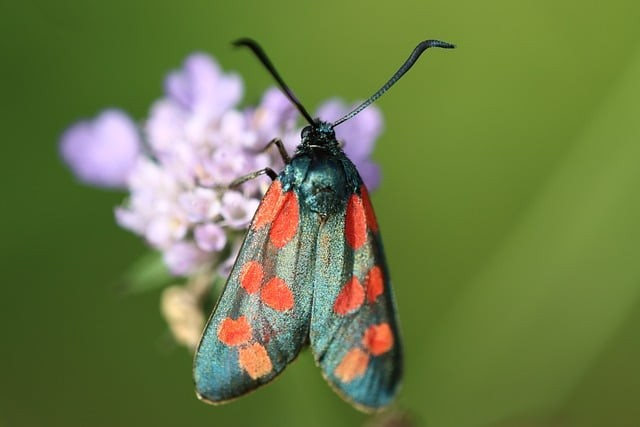 四川单招推荐学校最便宜