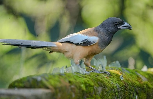 四川省金堂县职业高级中学简介