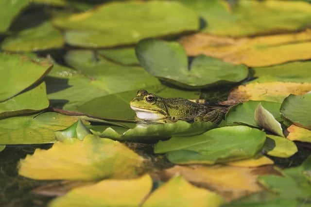 四川单招没有面试