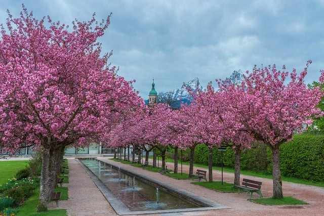 成都市铁路工程学校招生简介