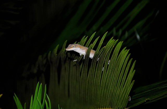 四川单招专业课提分