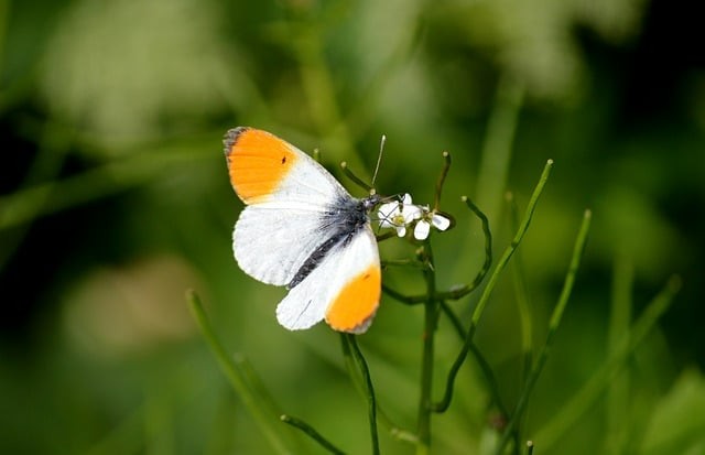 四川24年单招英语