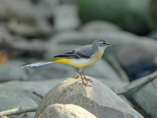 四川省成都市中和职业中学简介