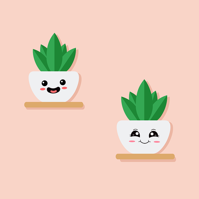 四川省师范大学实验外国语学校办学特色