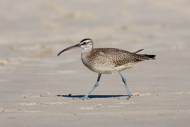 成都市铁路工程学校2025年招生计划是多少？学校性质