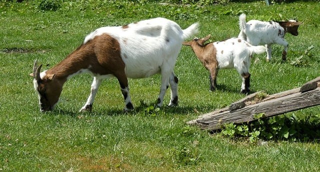 成都市育华职业学校2024招生简介