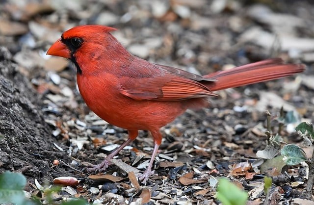 平昌鹰才职业技术学校2025年春季招生简介 平昌鹰才职业技术学校2025年春季招生简介