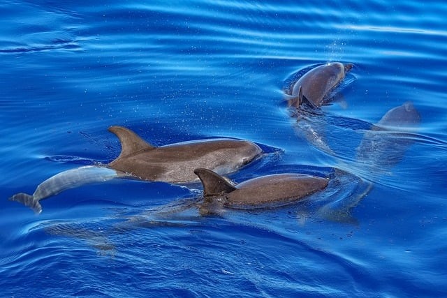 达州升华职业技术学校2025年春季招生简介