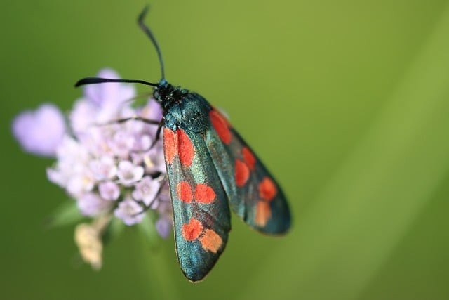 四川单招医药院校专业