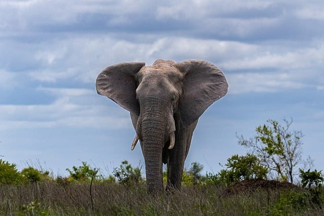 四川单招往年录取名次表