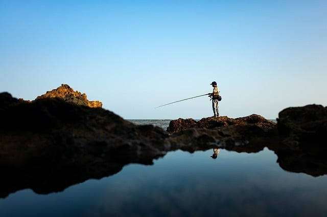 四川单招各学校专业查询 四川单招各学校专业查询