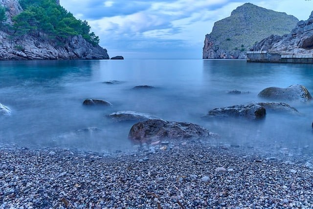 四川单招在线学习平台