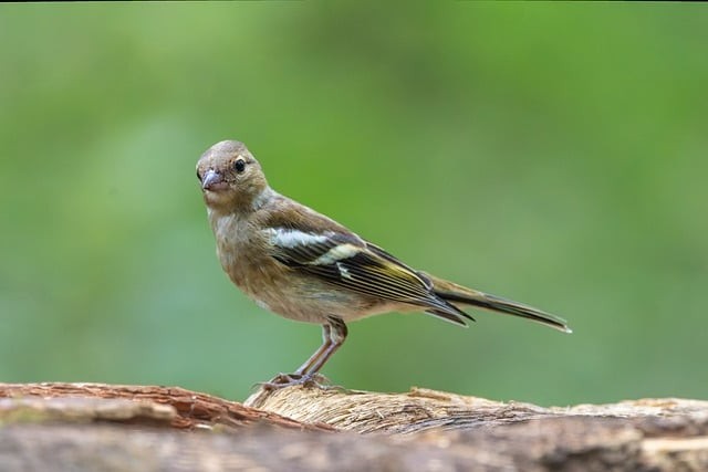 毕节地区工业学校2025年招生简介