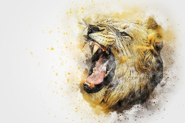 雅安职业技术学院教学模式怎么样