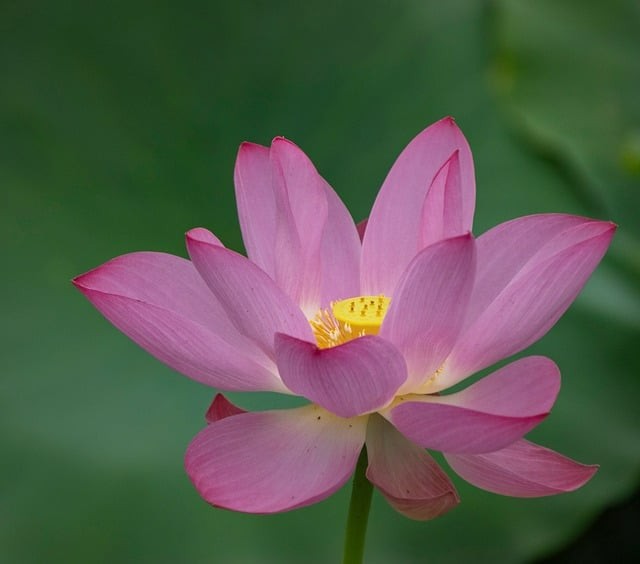 四川单招大学图