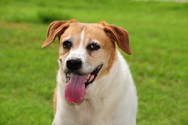 四川单招校企合作情况