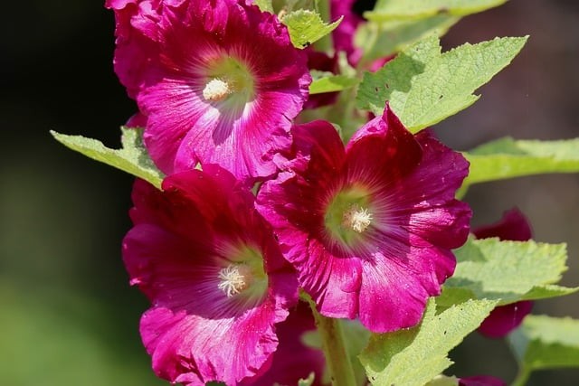 四川省兴文县职业技术学校就业前景