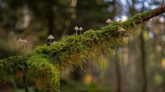 成都市技师学院2025年招生录取分数线