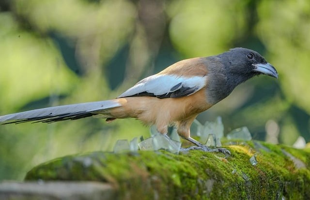 四川省眉山中学校办学条件