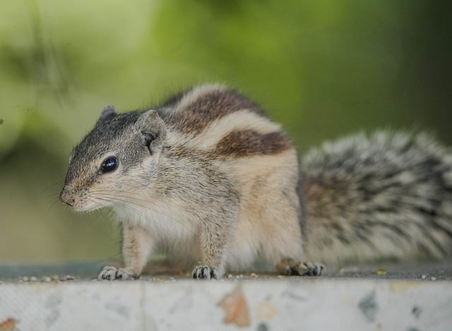 四川省天全职业高级中学2025年春季招生简介